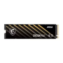 اس اس دی ام اس آی SPATIUM M461 NVMe M.2 ظرفیت 4 ترابایت